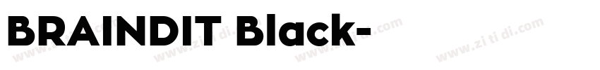 BRAINDIT Black字体转换